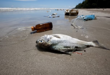 Photo of जैवविविधता के लिए संकट बना प्रदूषण, समुद्र के तल में जमा है 1.10 टन करोड़ प्लास्टिक