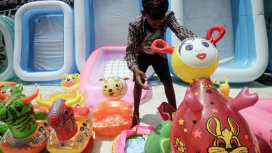 Photo of देश से खिलौना निर्यात में मामूली गिरावट, गुणवत्ता नियंत्रण जैसे उपायों के बावजूद खास वृद्धि नहीं